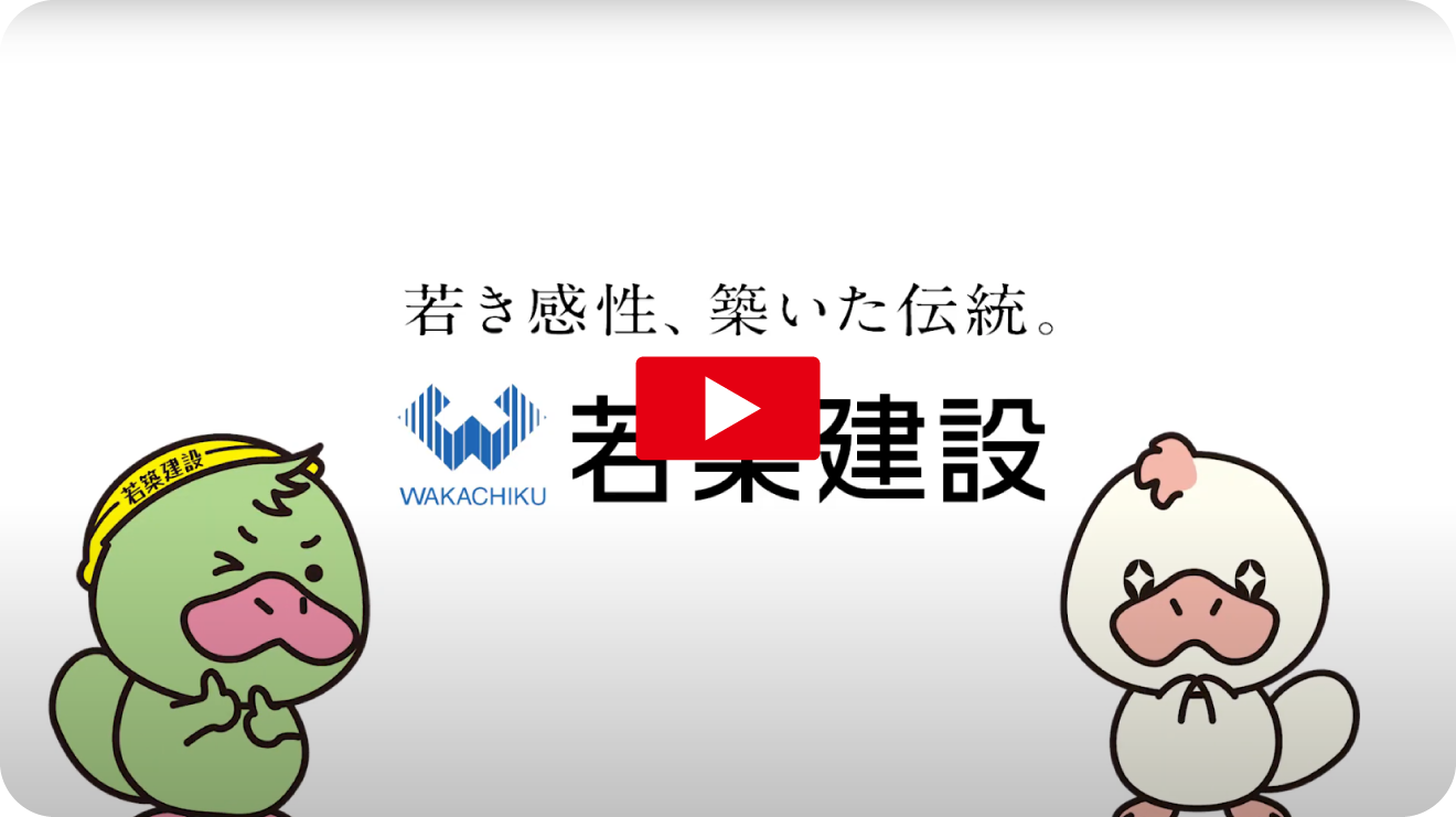 動画